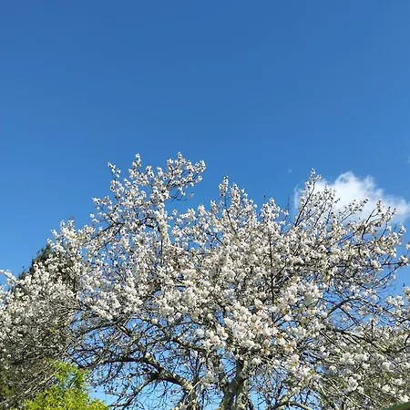 Nyaraló Pres Du De Madine Et Verdun Sites De Guerre