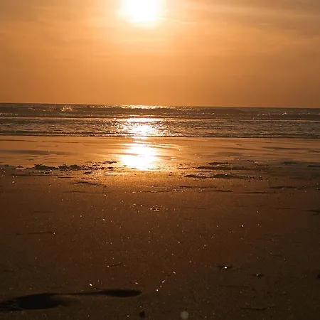 Pres Du De Madine Et Verdun Sites De Guerre *