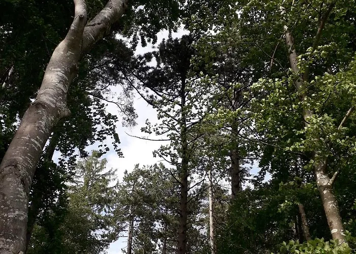 Pres Du De Madine Et Verdun Sites De Guerre Ferienhaus